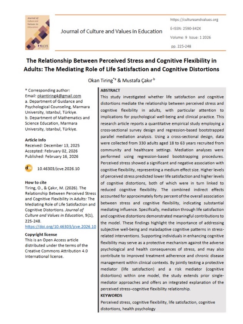 tiring-cakir-article.jpg (250 KB)