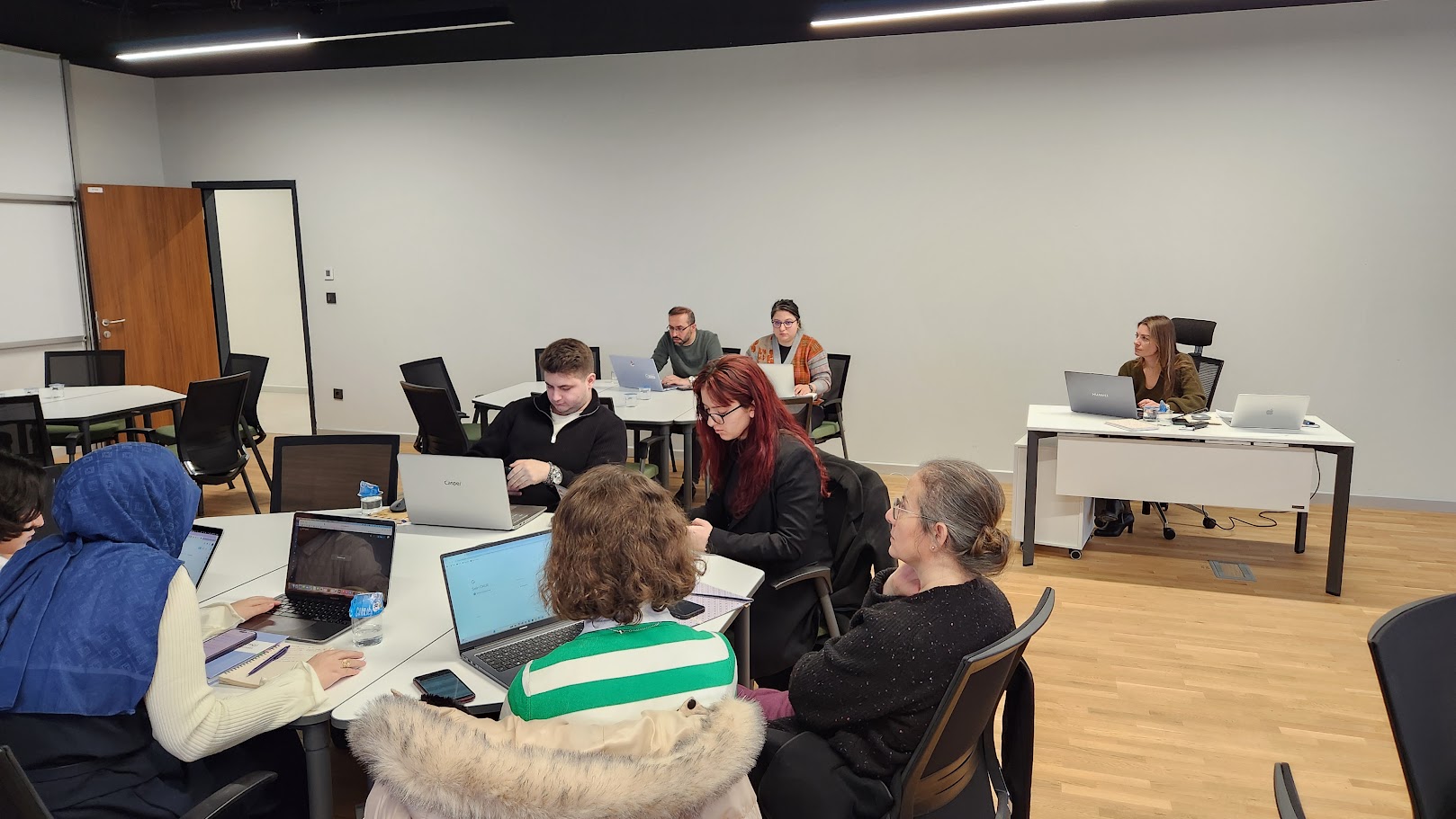 cigdem nvivo-aef3 (1).jpeg (245 KB)